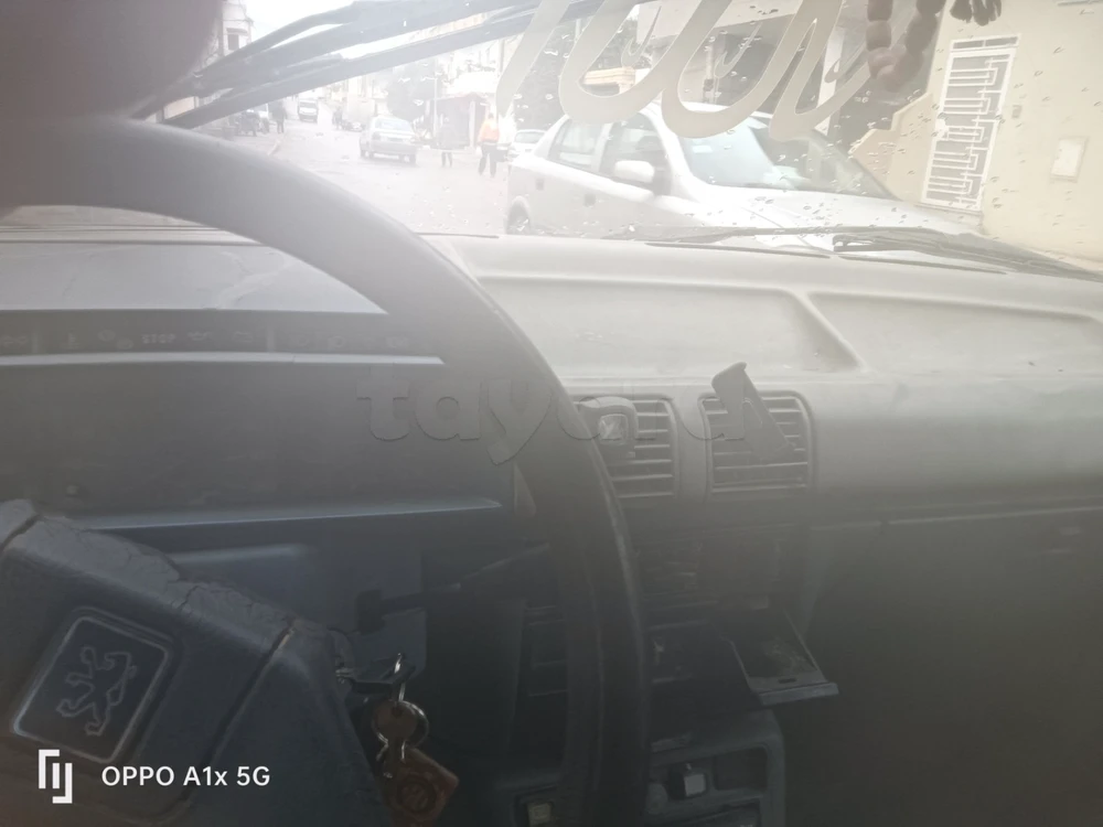 Carte voiture Peugeot 305