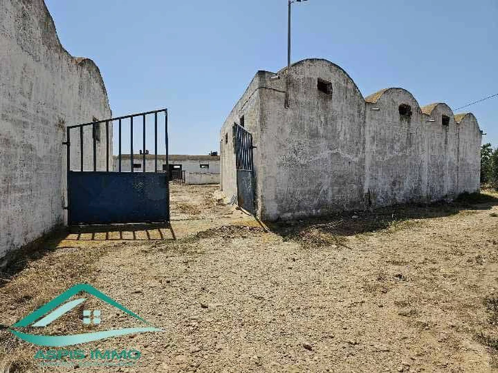 Terrain agricole 14280 m² à Kelibia