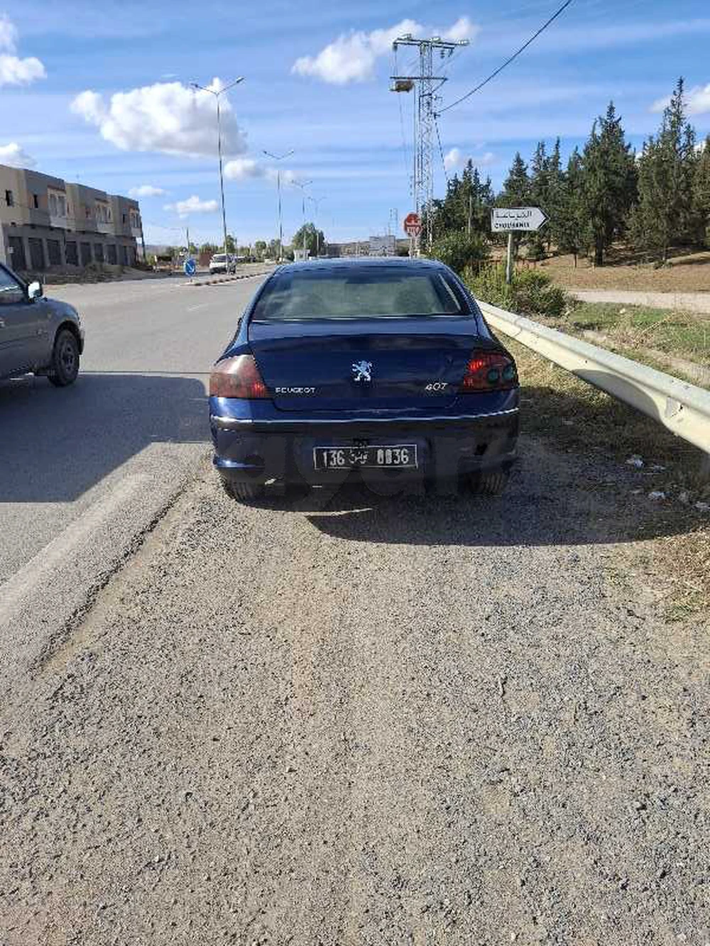 Peugeot 407 SW