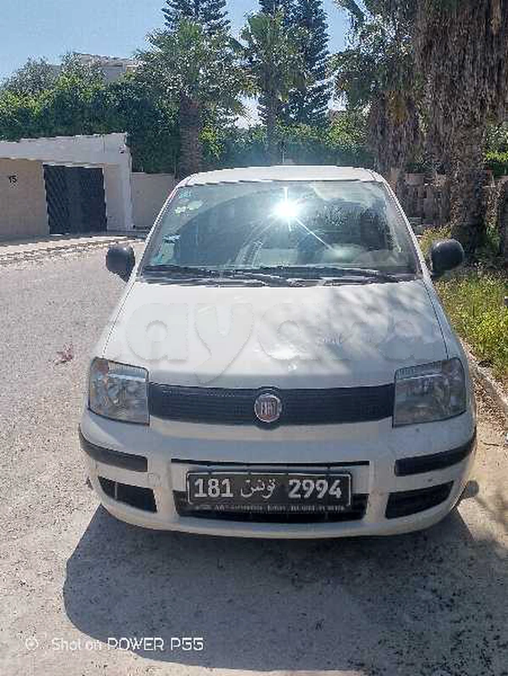 Carte voiture Fiat Panda