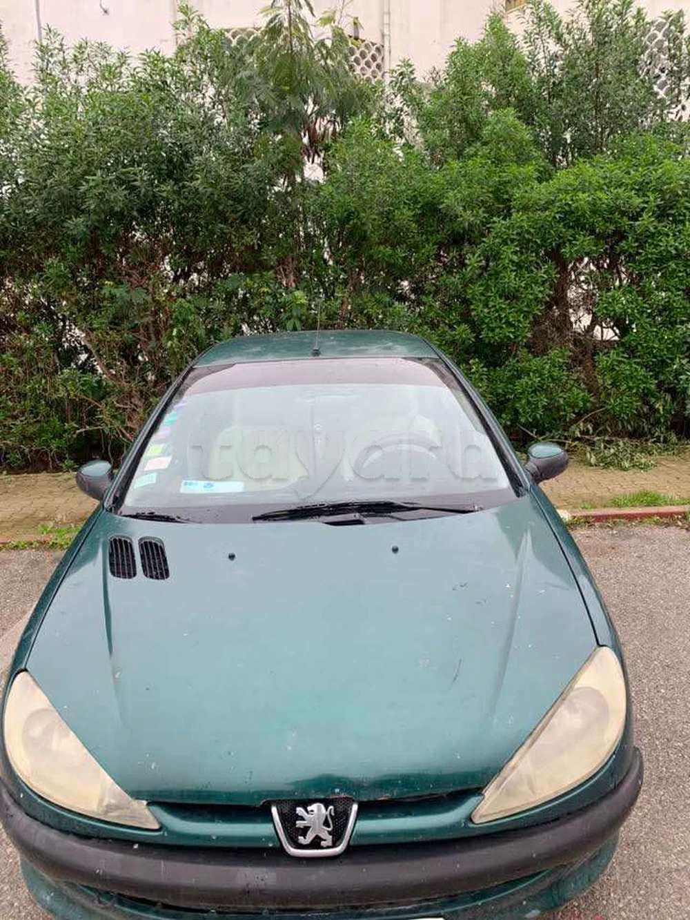 Carte voiture Peugeot 206