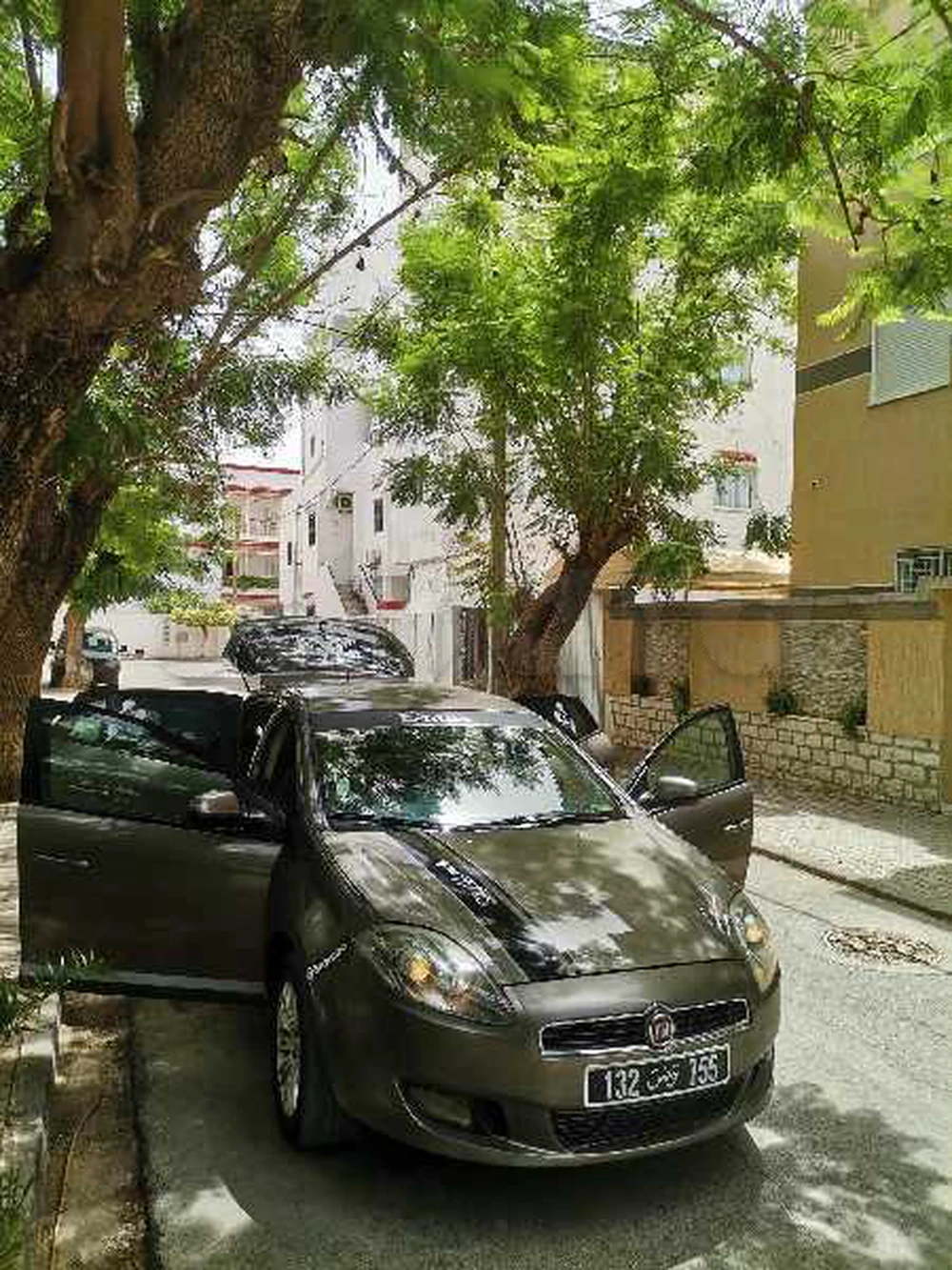 Fiat Bravo