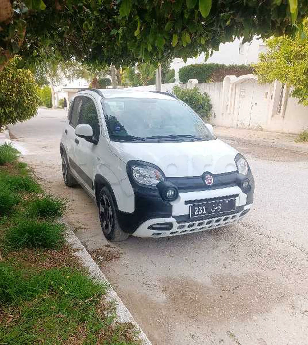 Carte voiture Fiat Panda