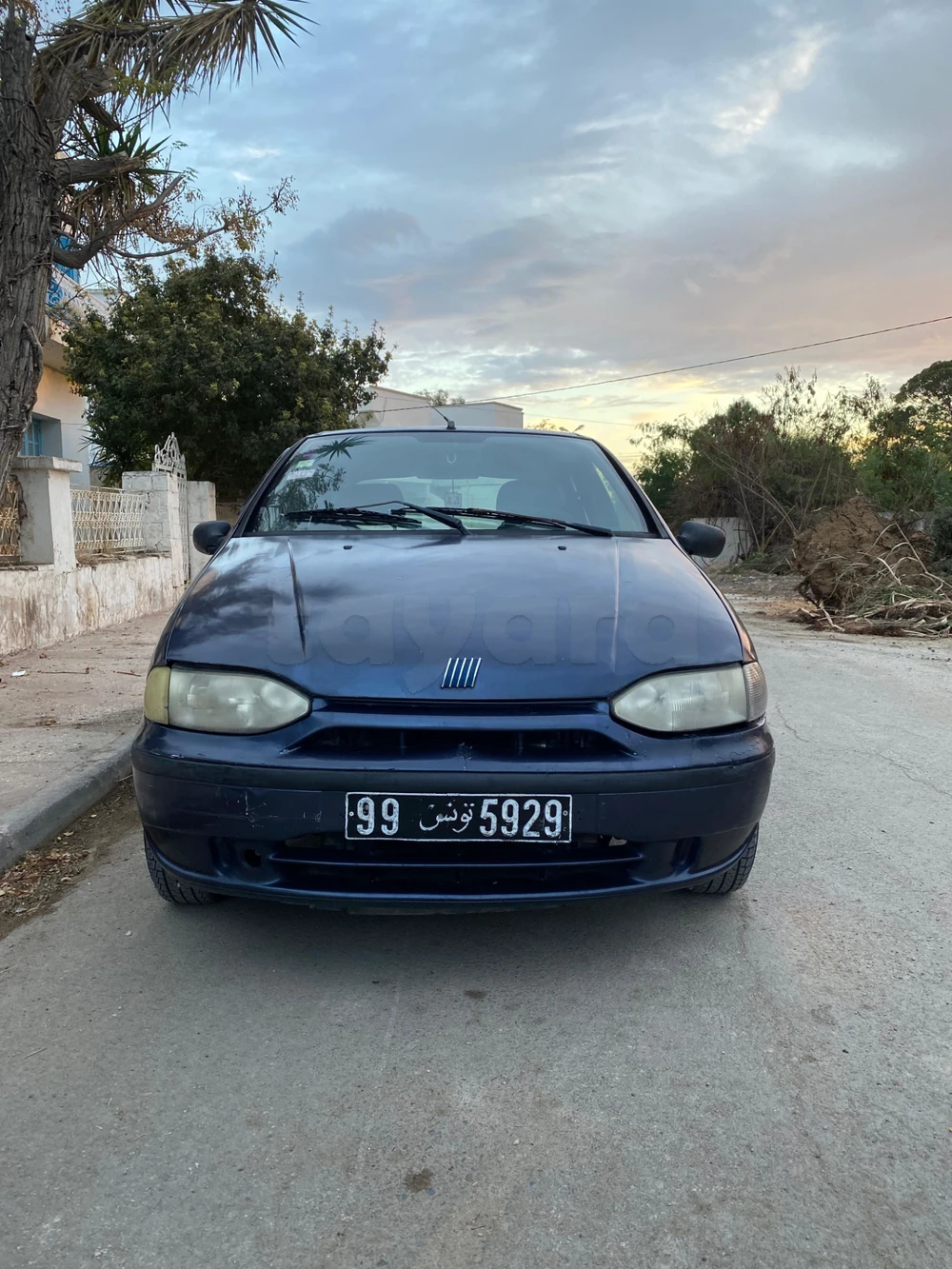 Carte voiture Fiat Palio