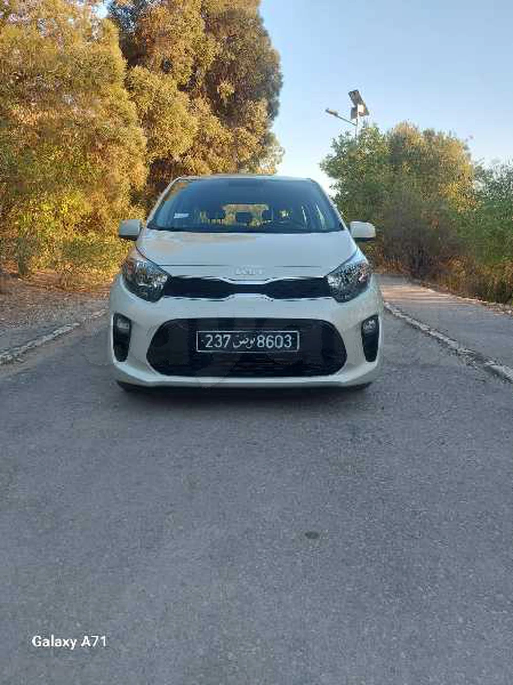 Carte voiture Kia Picanto