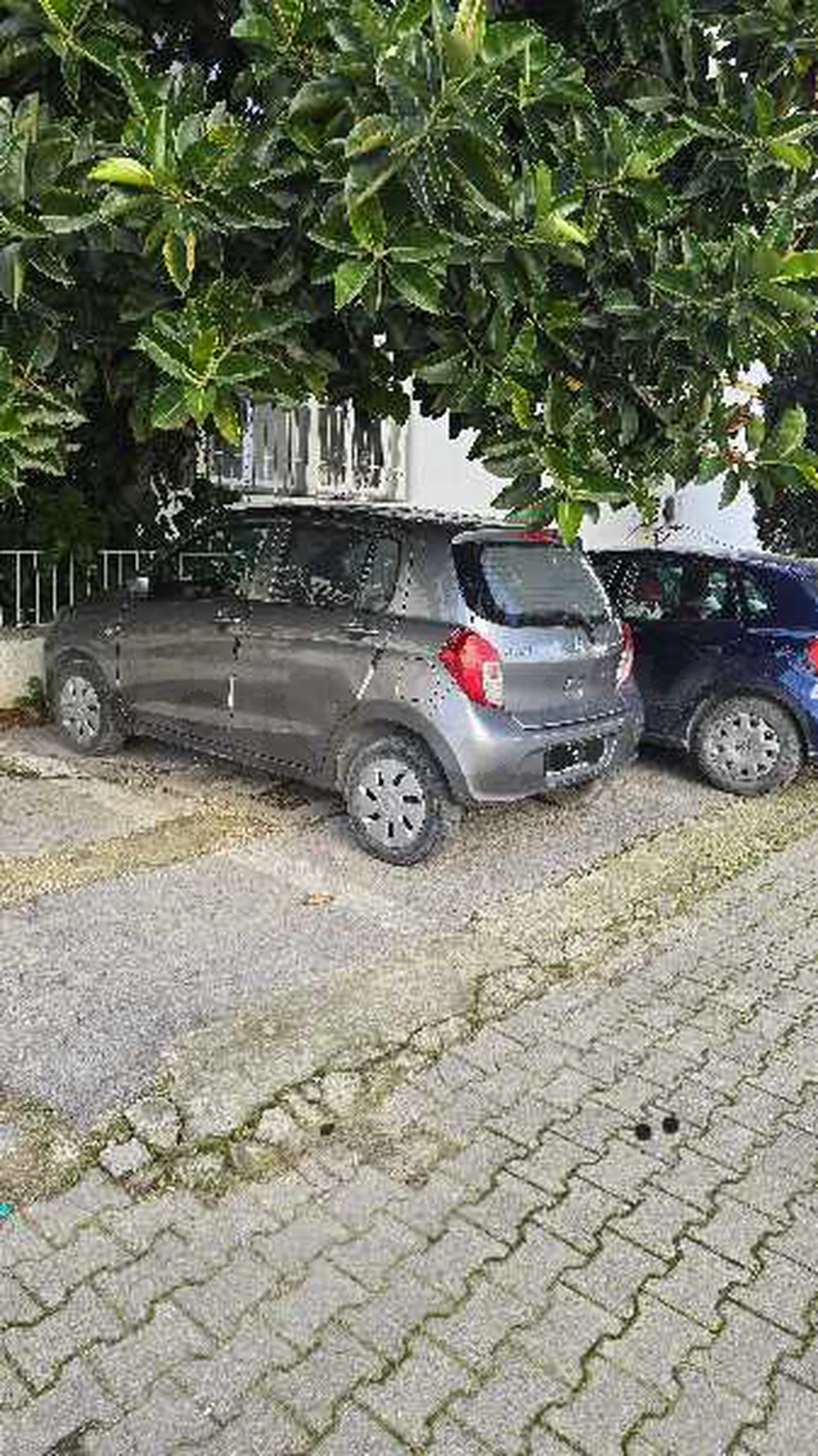 Carte voiture Suzuki Celerio