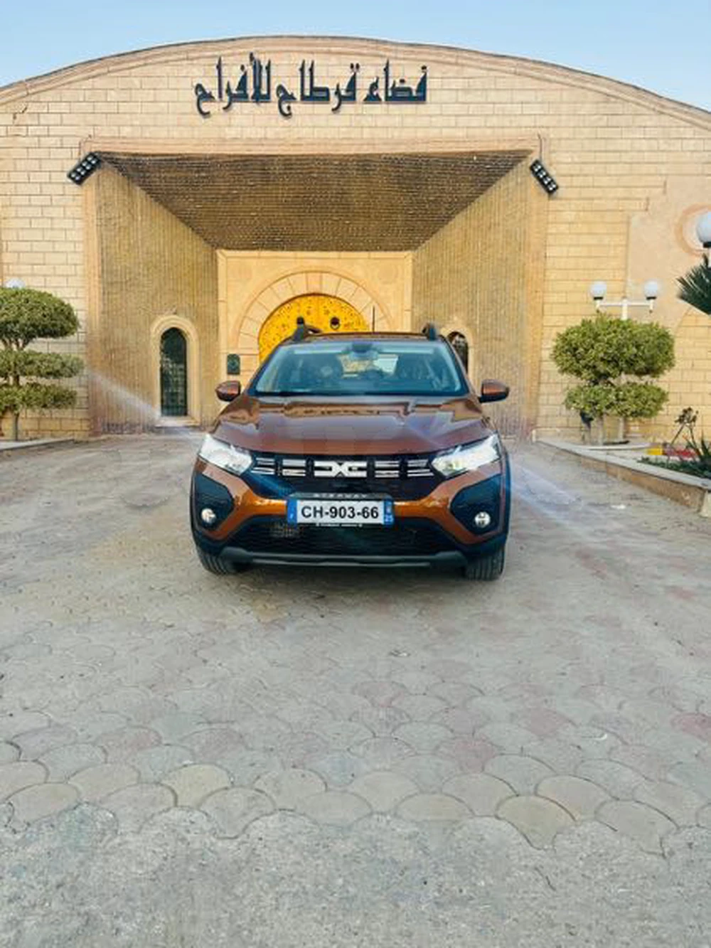 Carte voiture Dacia Sandero