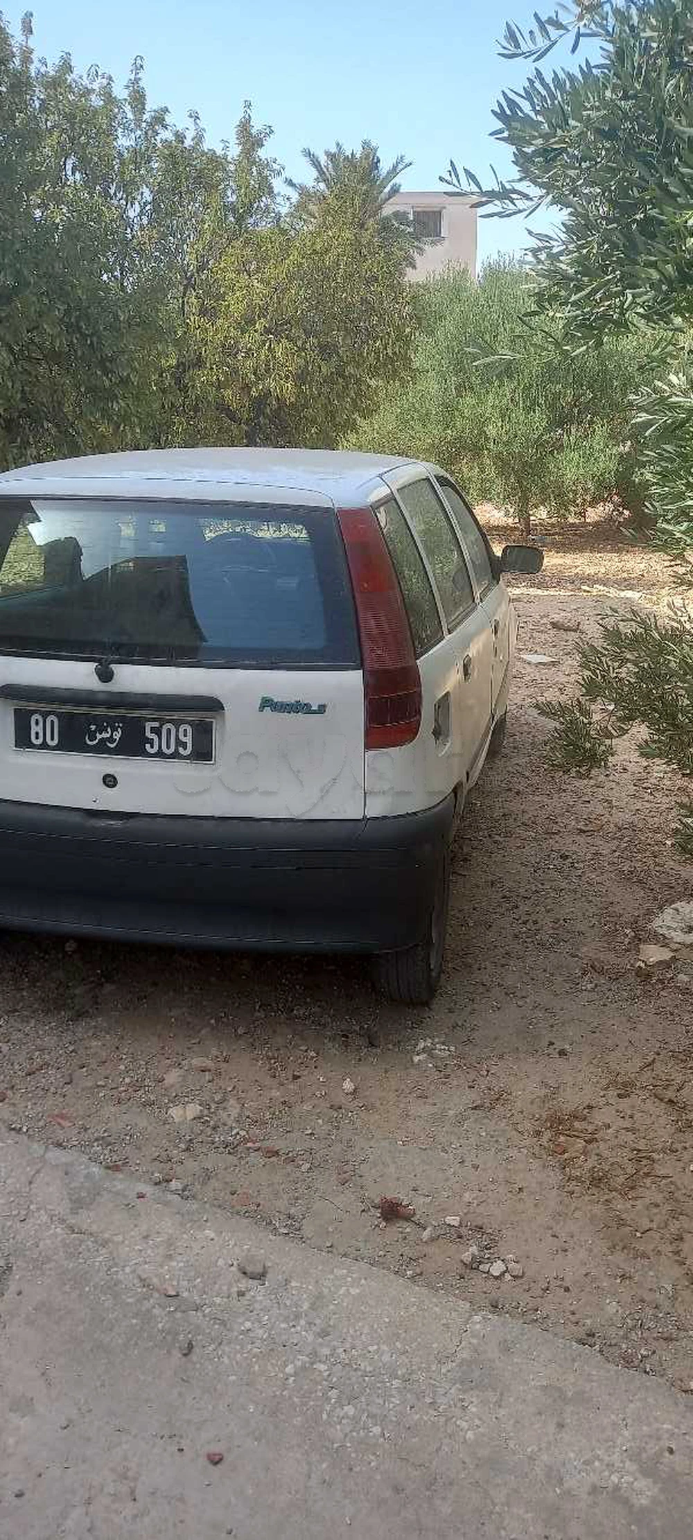 Fiat Punto