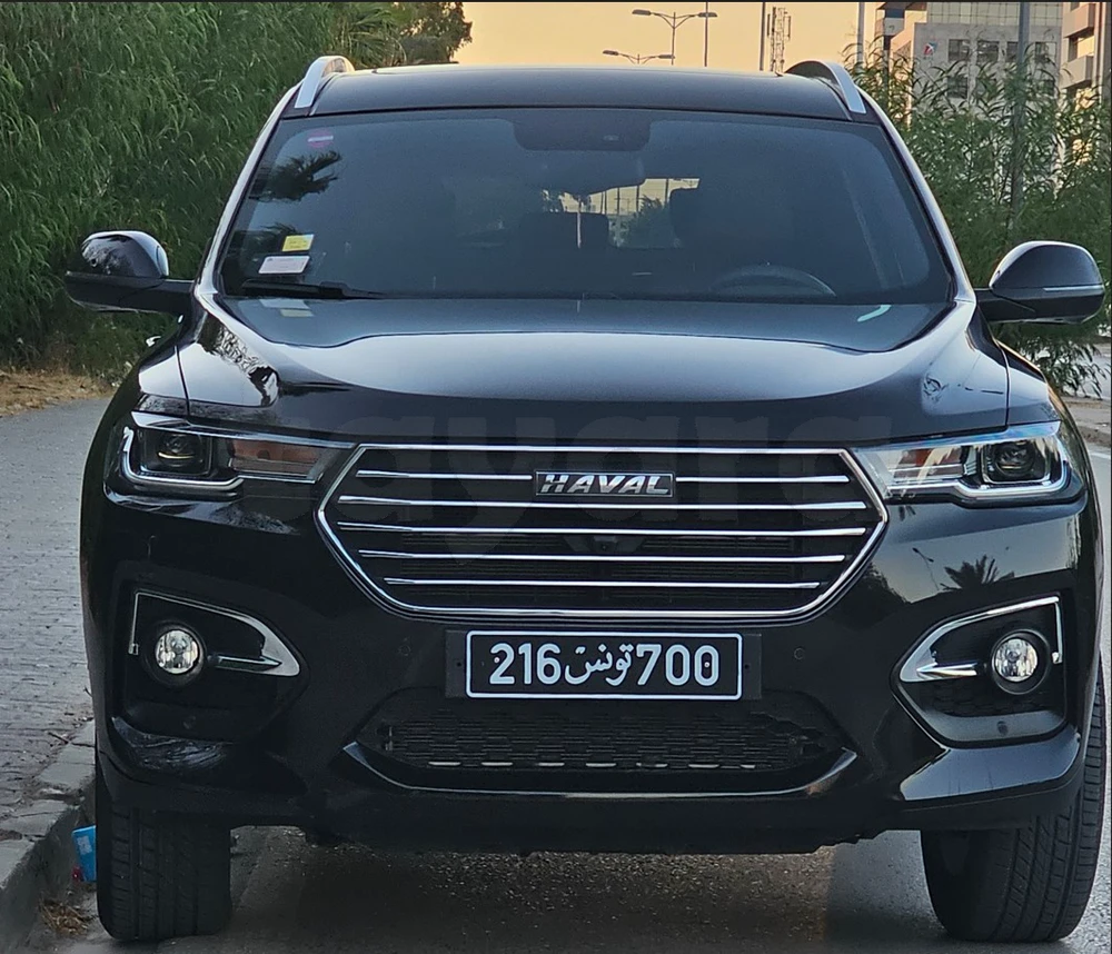 Carte voiture Haval H6