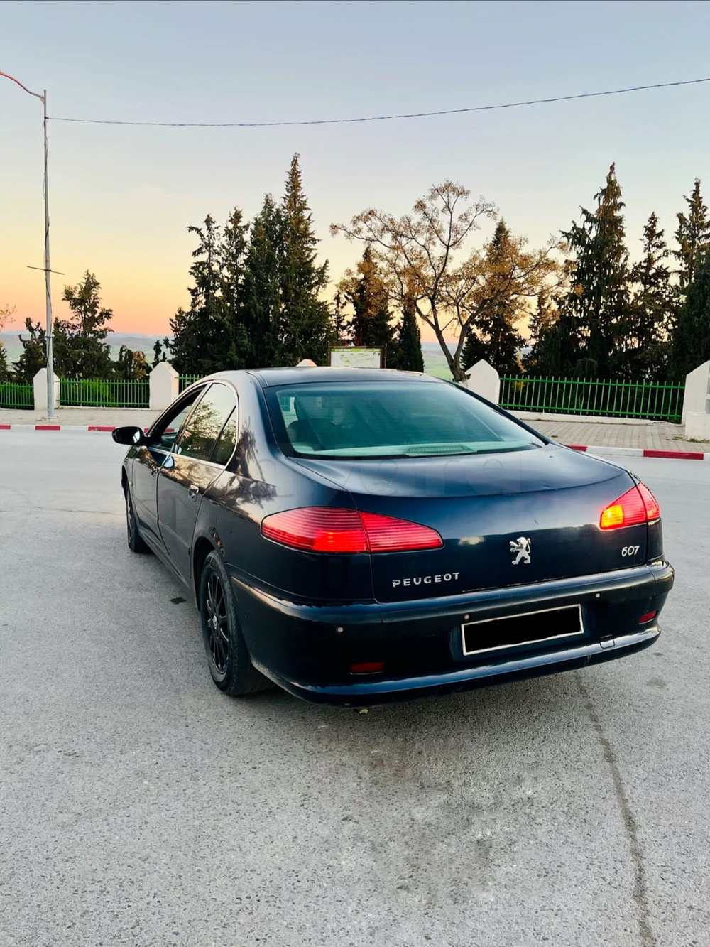 Peugeot 607