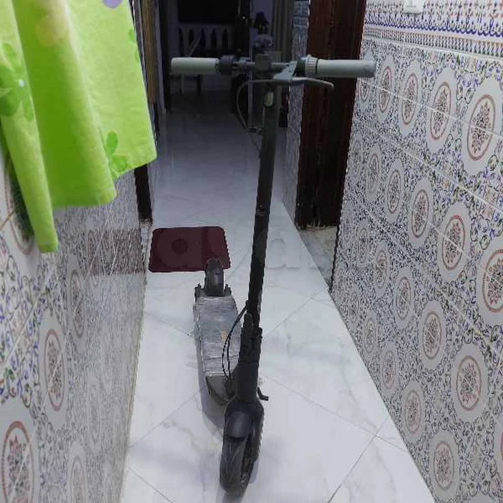 ninebot G30 max