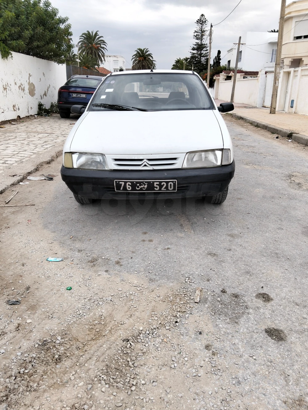 Citroen ZX