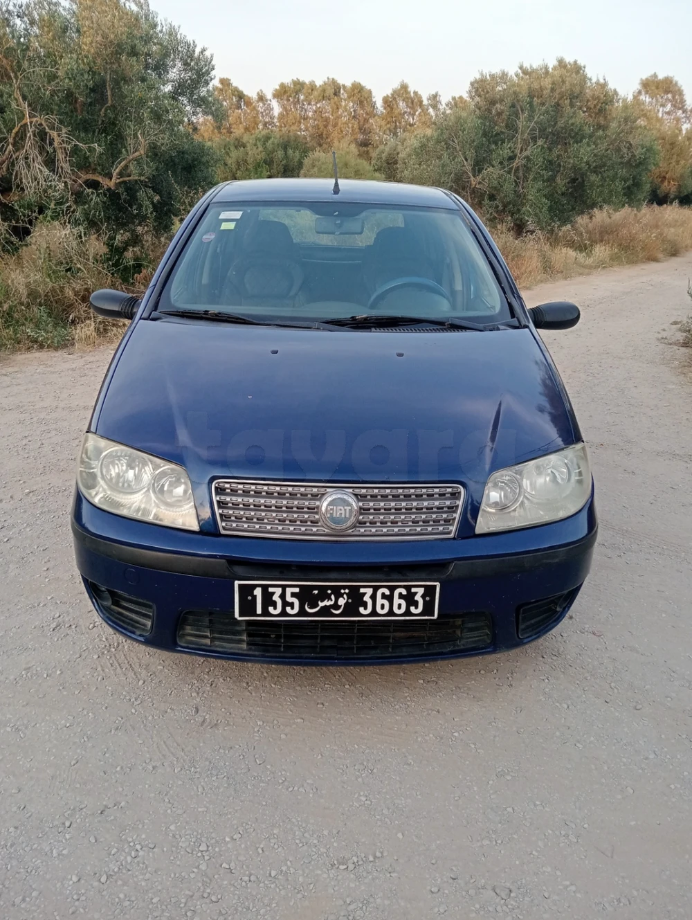Carte voiture Fiat Punto