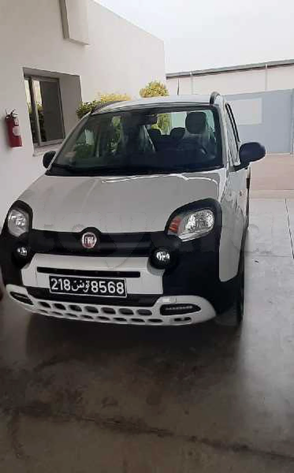 Carte voiture Fiat Panda