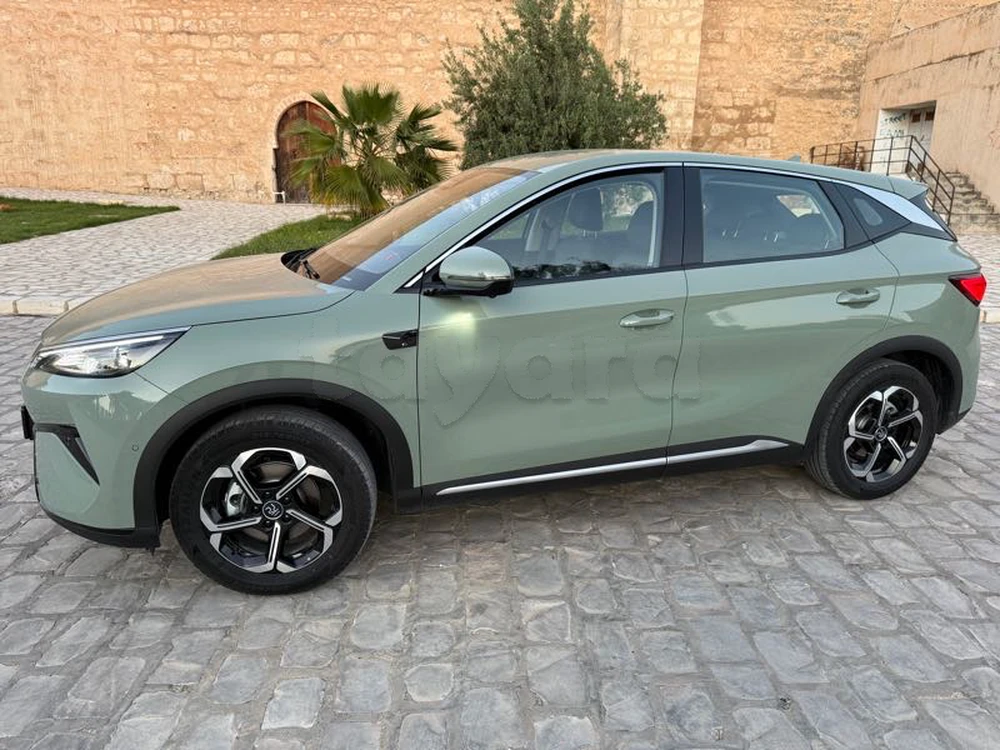 Carte voiture BYD F1