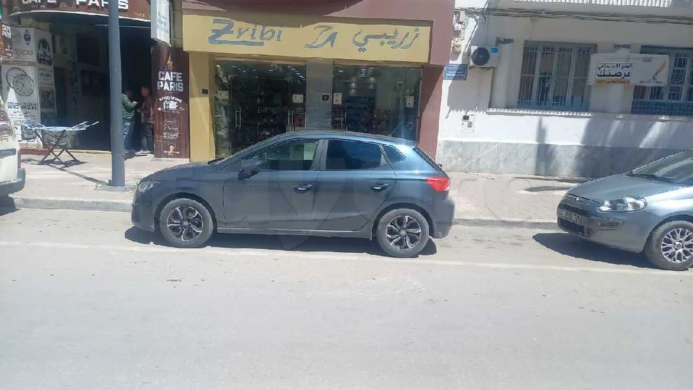 Carte voiture SEAT Ibiza