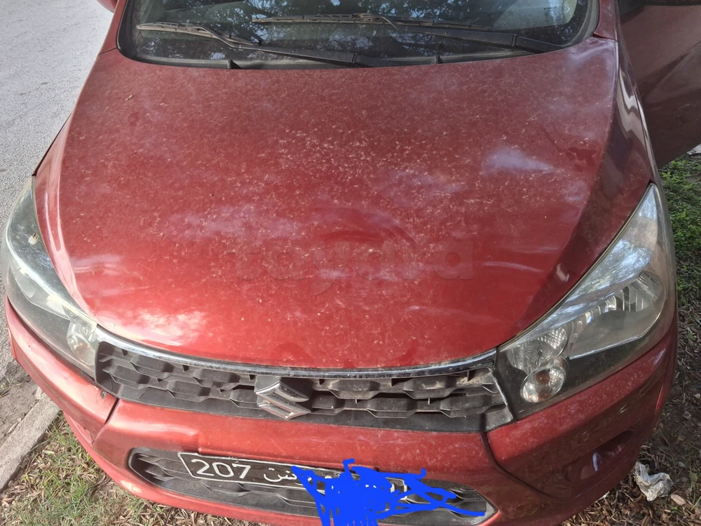 Suzuki Celerio