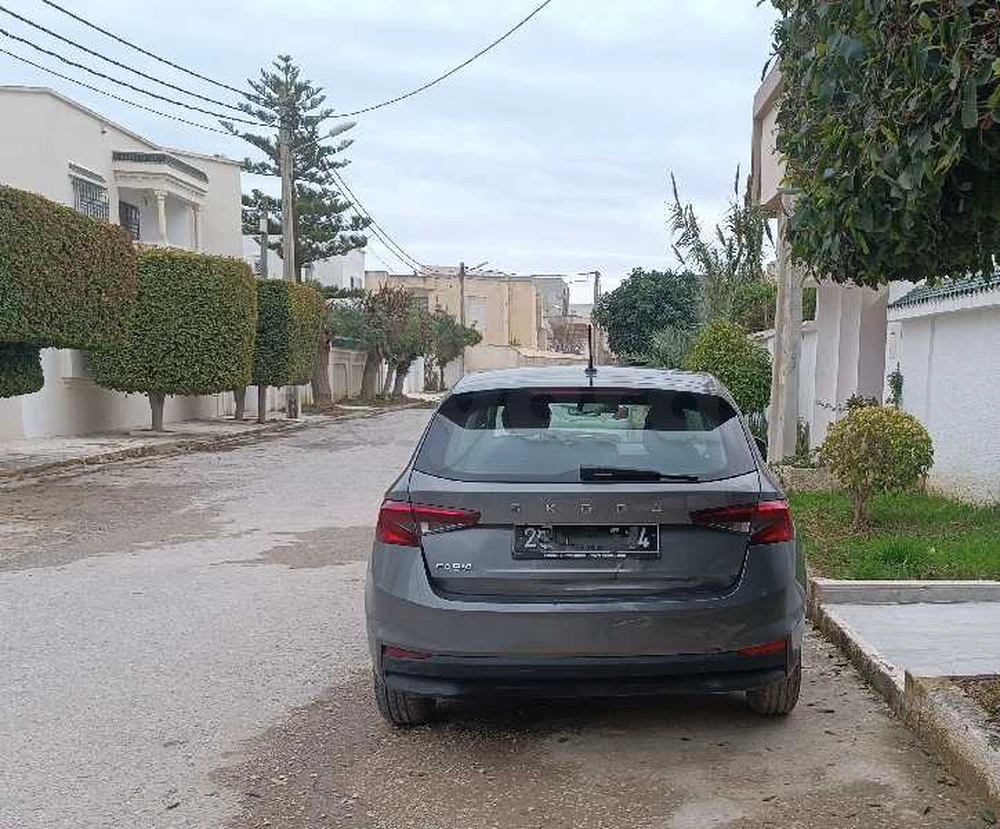 Carte voiture Skoda Fabia