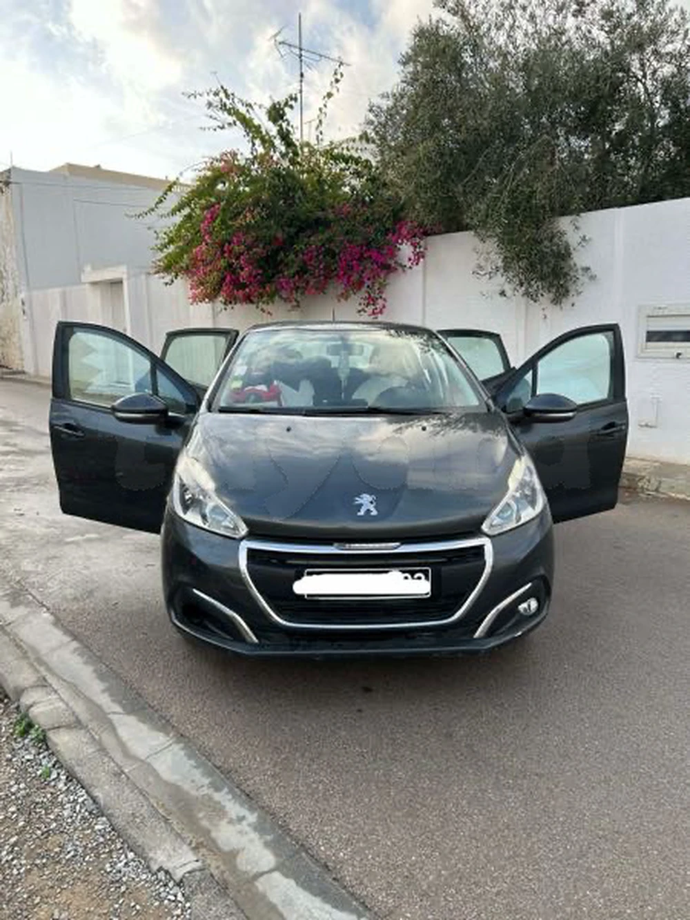 Carte voiture Peugeot 208