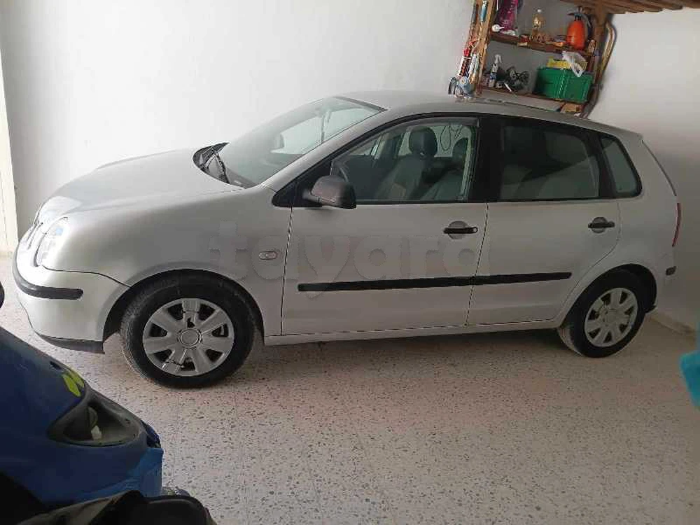 polo 5