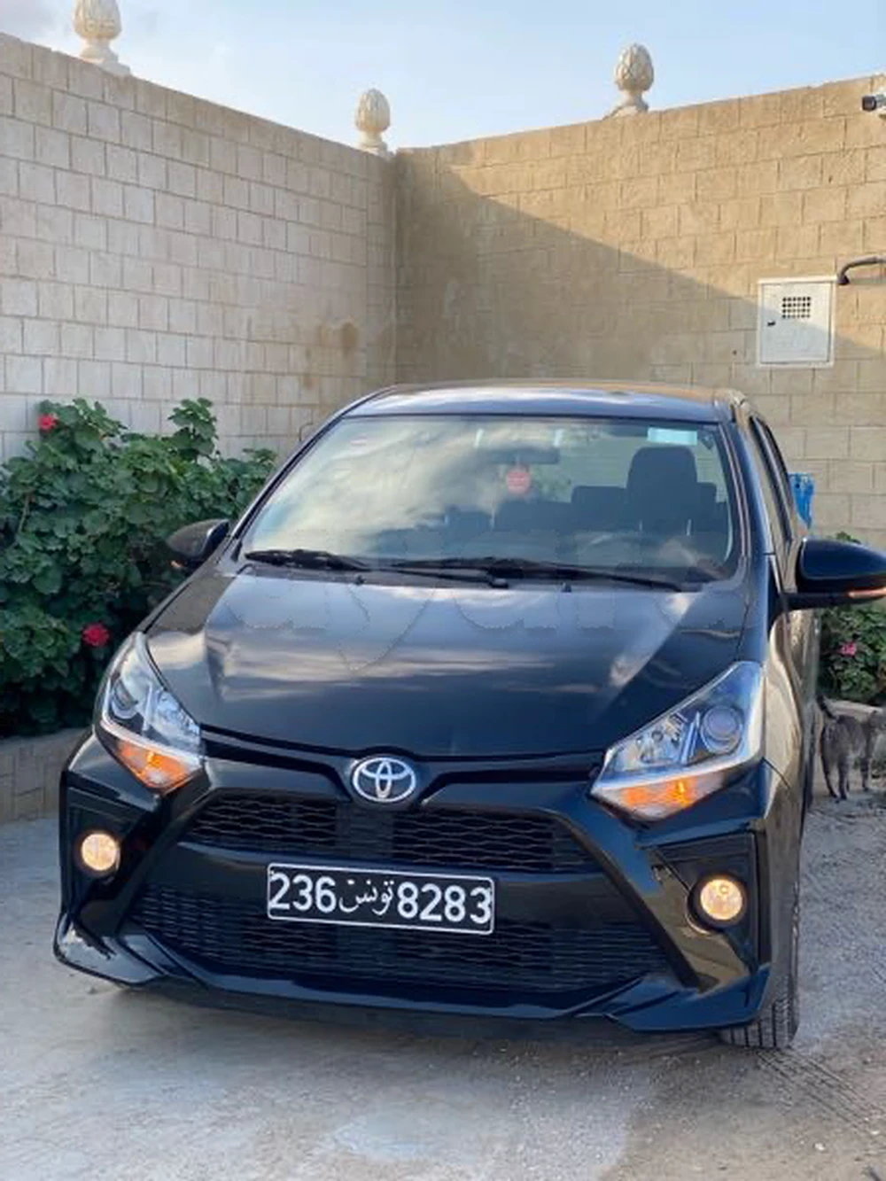 Carte voiture Toyota Aygo