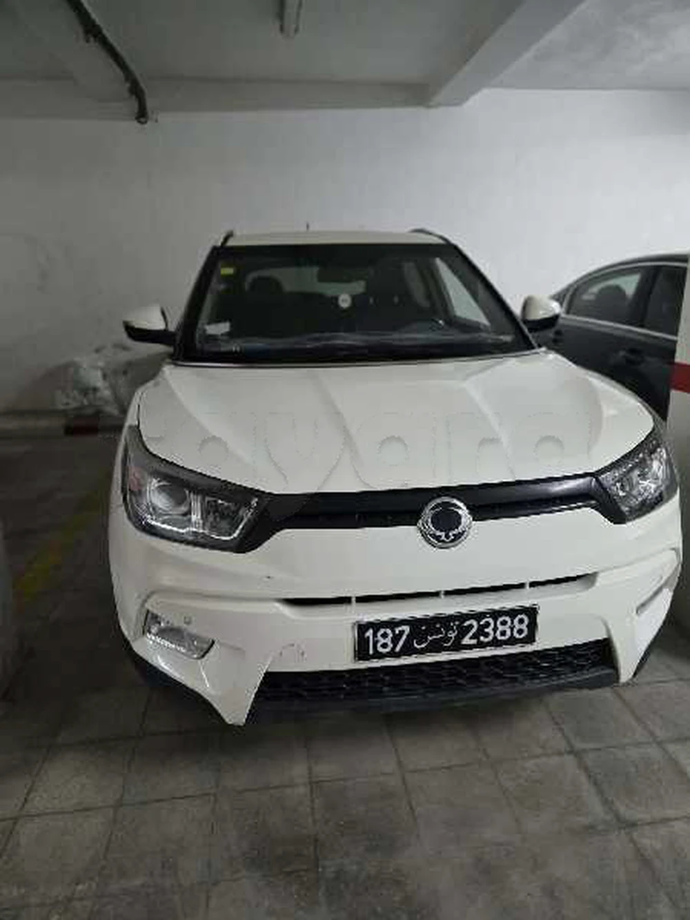 Carte voiture SsangYong Family
