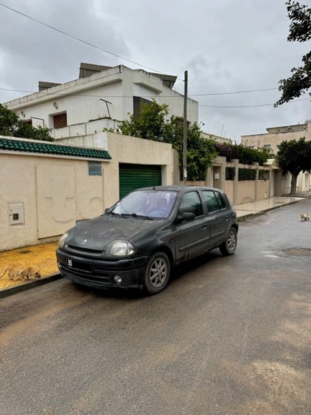 Carte voiture Renault Clio