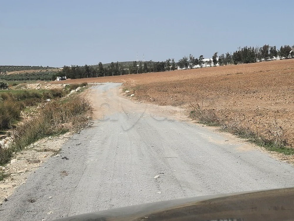 Tokë