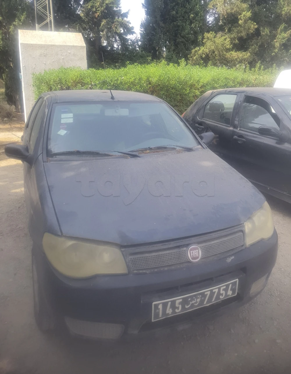 Carte voiture Fiat Palio