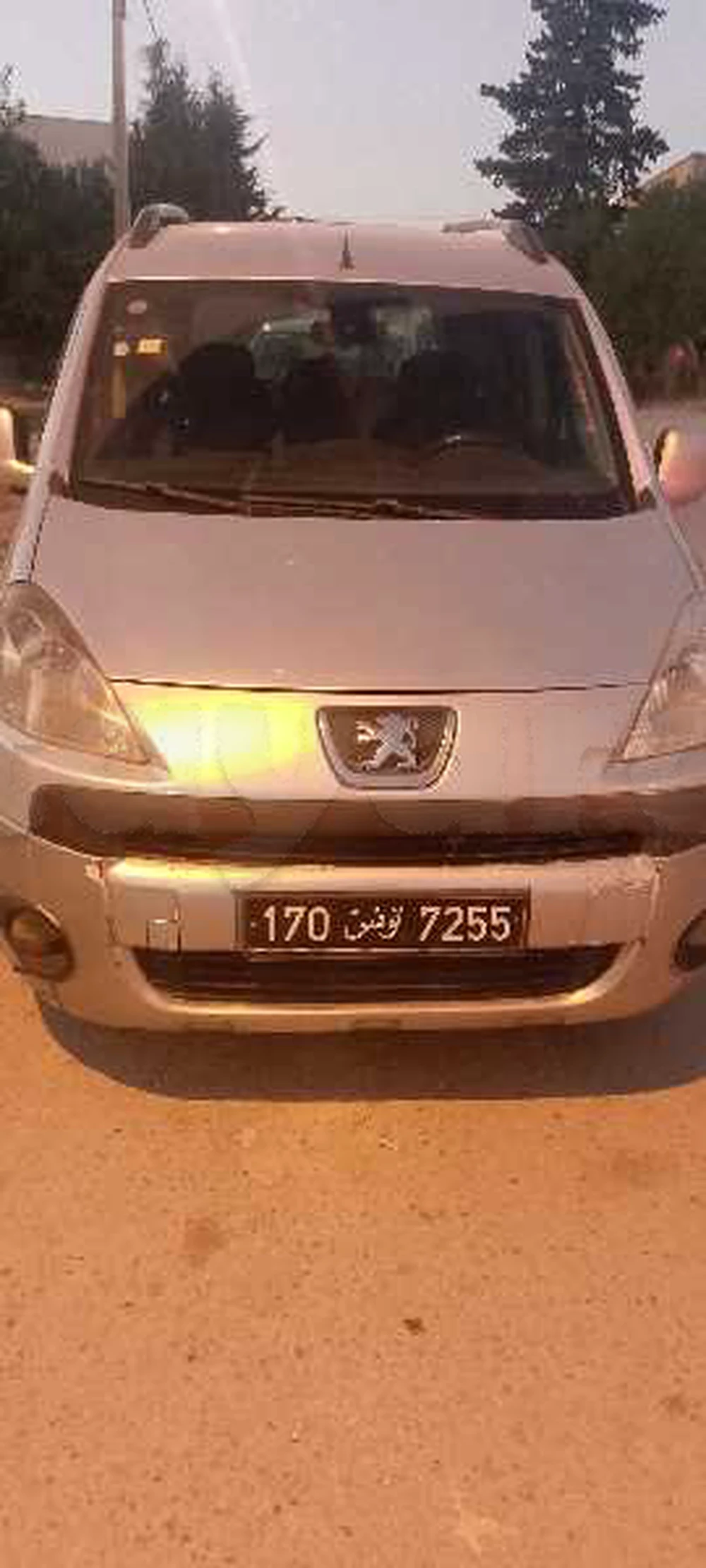 Carte voiture Peugeot Partner