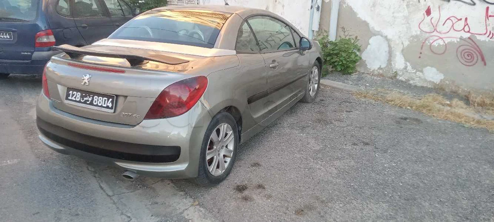 Carte voiture Peugeot 207