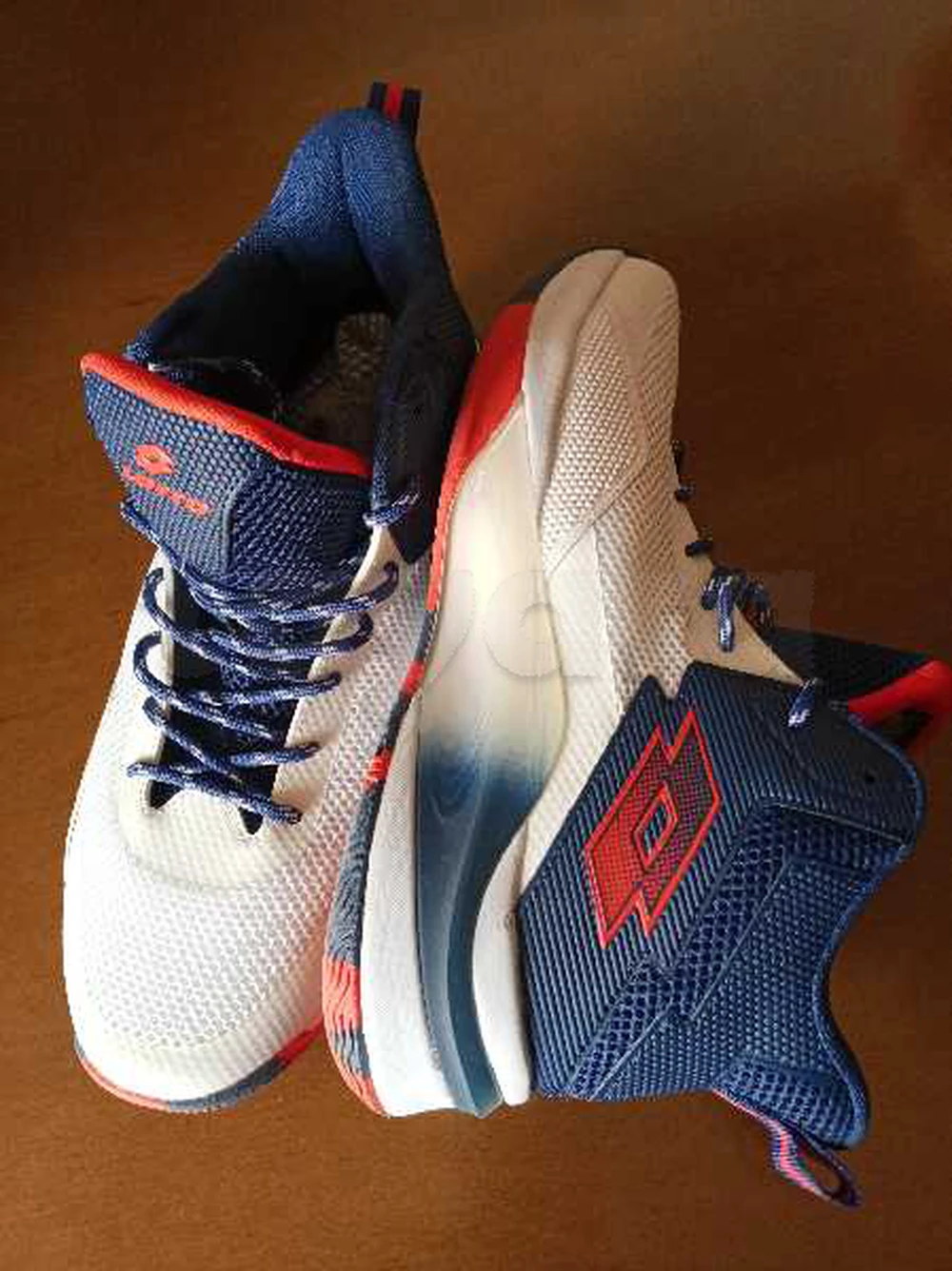 basket lotto original