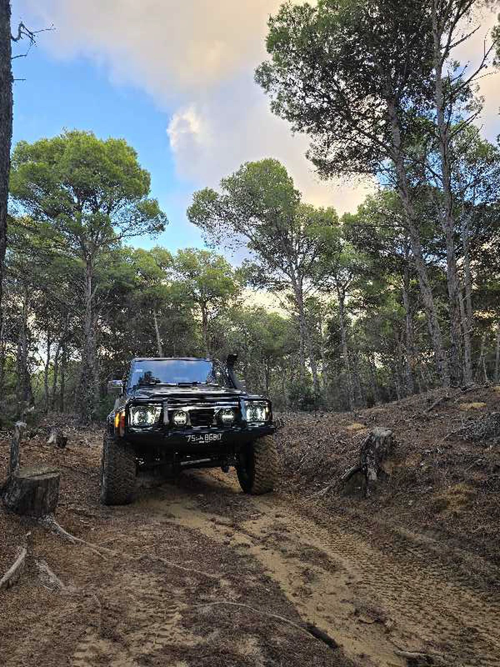 Carte voiture Nissan Patrol