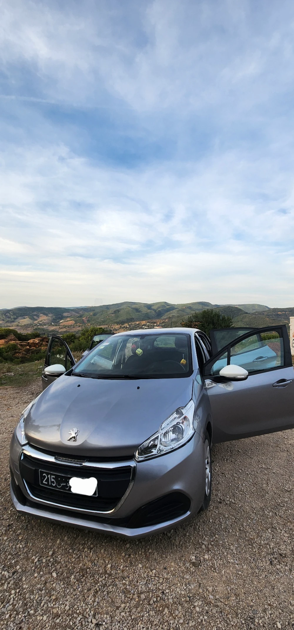 Carte voiture Peugeot 208