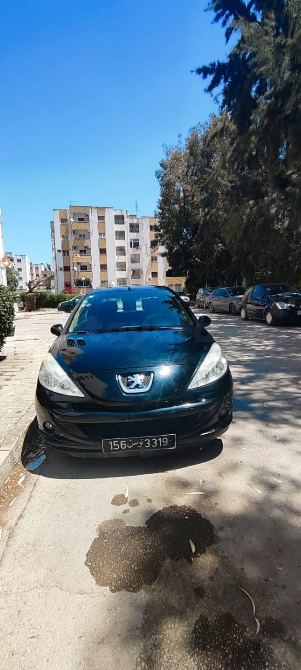 Carte voiture Peugeot 206