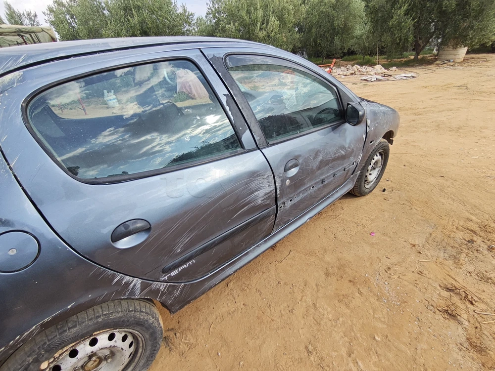 Carte voiture Peugeot 206
