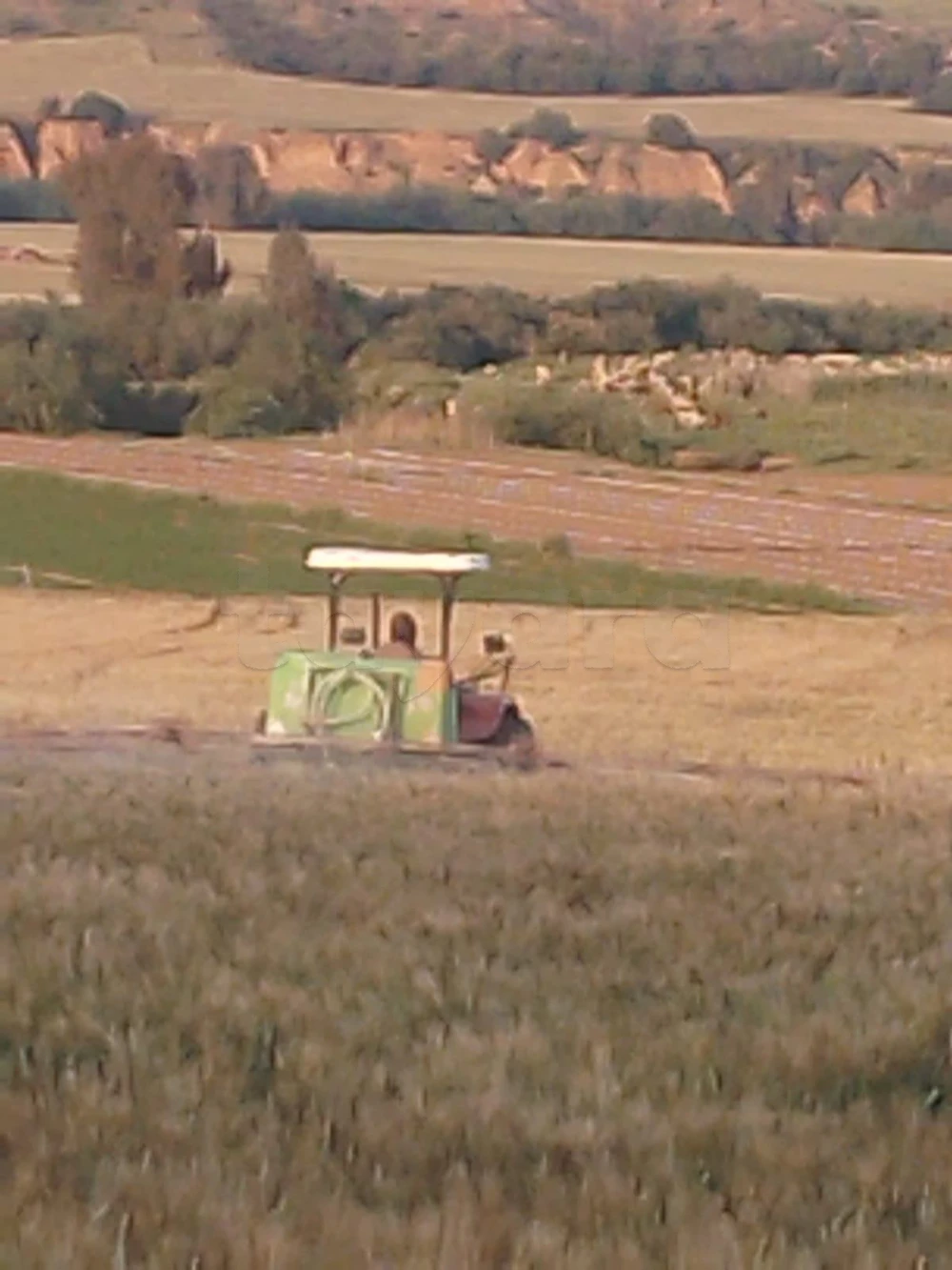 terrain agricole