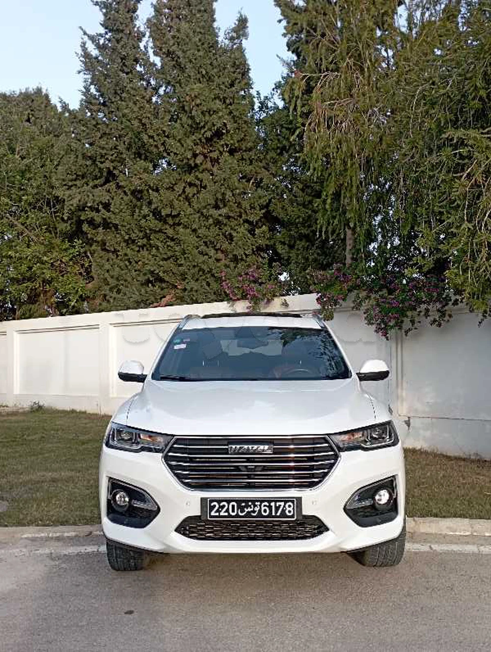 Carte voiture Haval H6