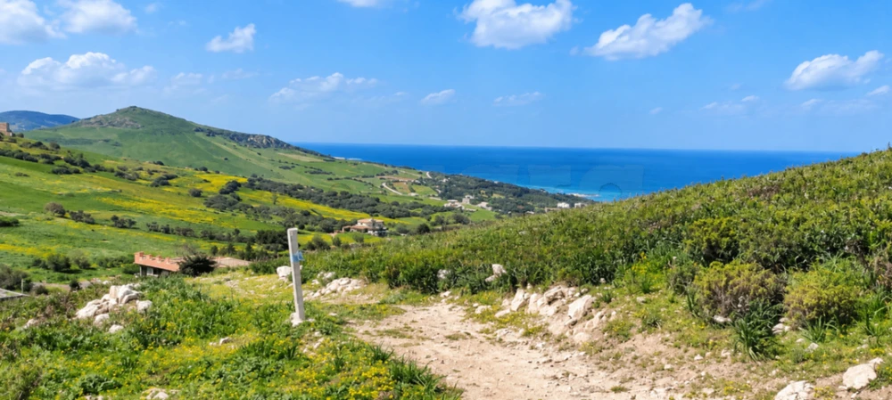 Terrain à vendre Ain Berda Bizerte