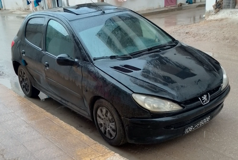 Carte voiture Peugeot 206