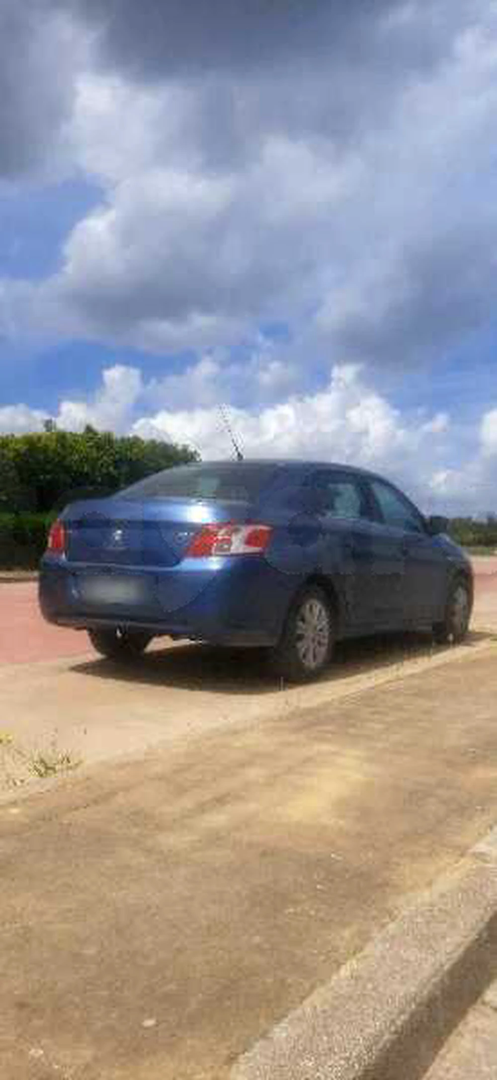 Carte voiture Peugeot 301