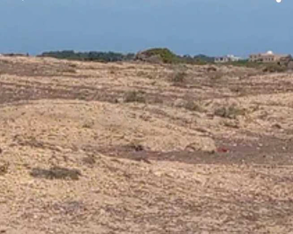 à vendre un terrain 1ère position a la plage vu sur zinbra fi el haouaria sidi daoud