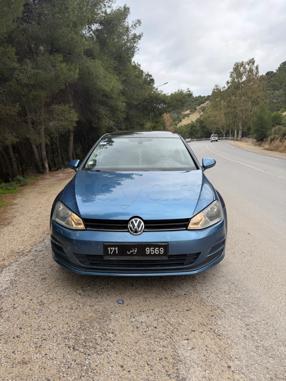 Carte voiture Volkswagen Golf