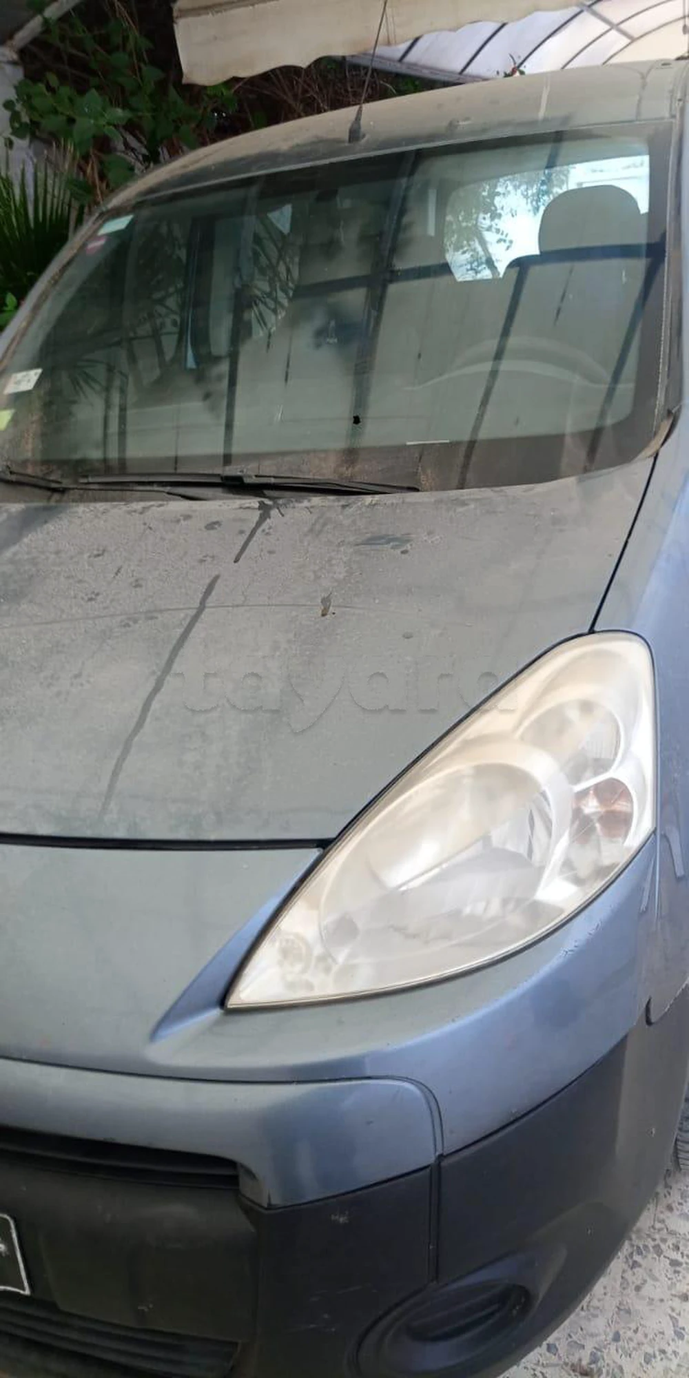 Carte voiture Peugeot Tepee