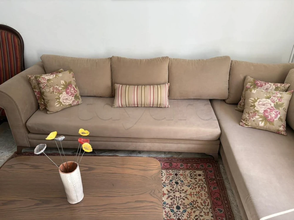 Séjour a vendre