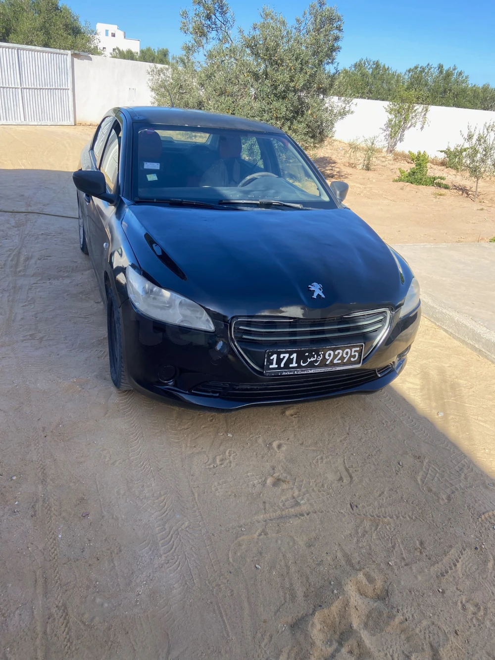 Carte voiture Peugeot 301