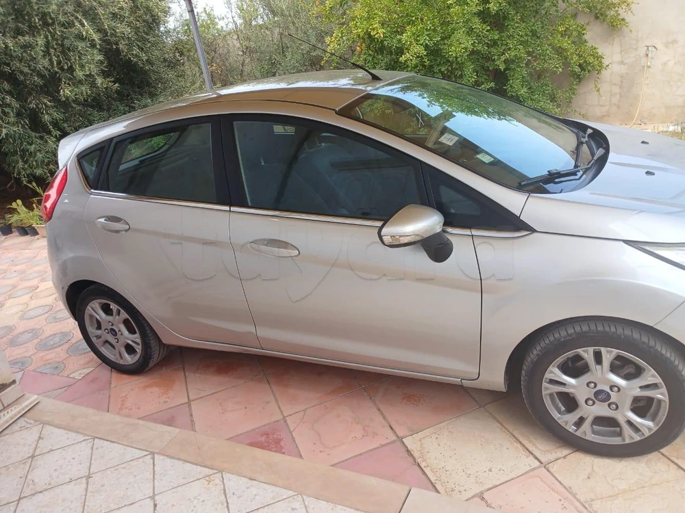 Carte voiture Ford Fiesta
