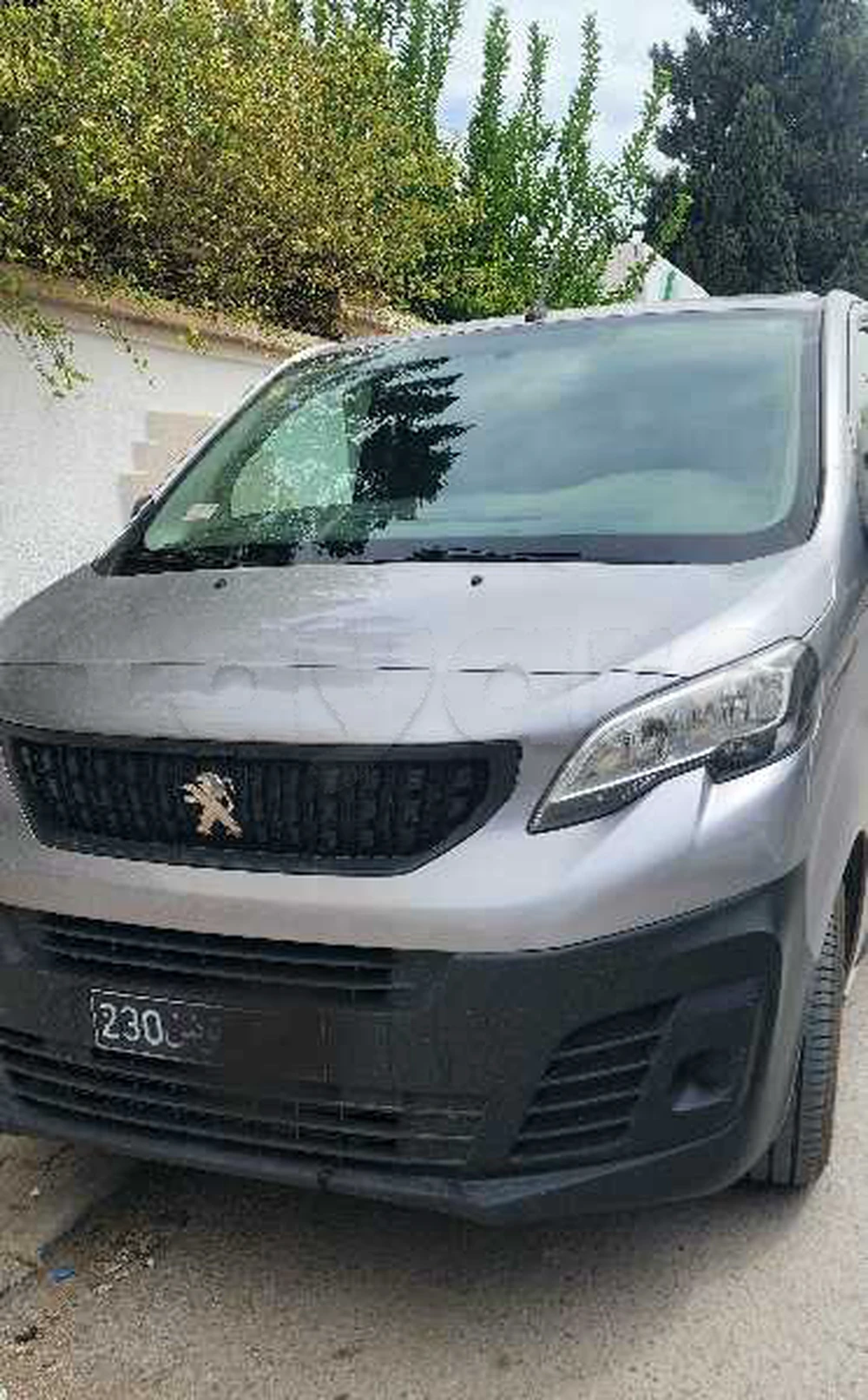 Peugeot Expert