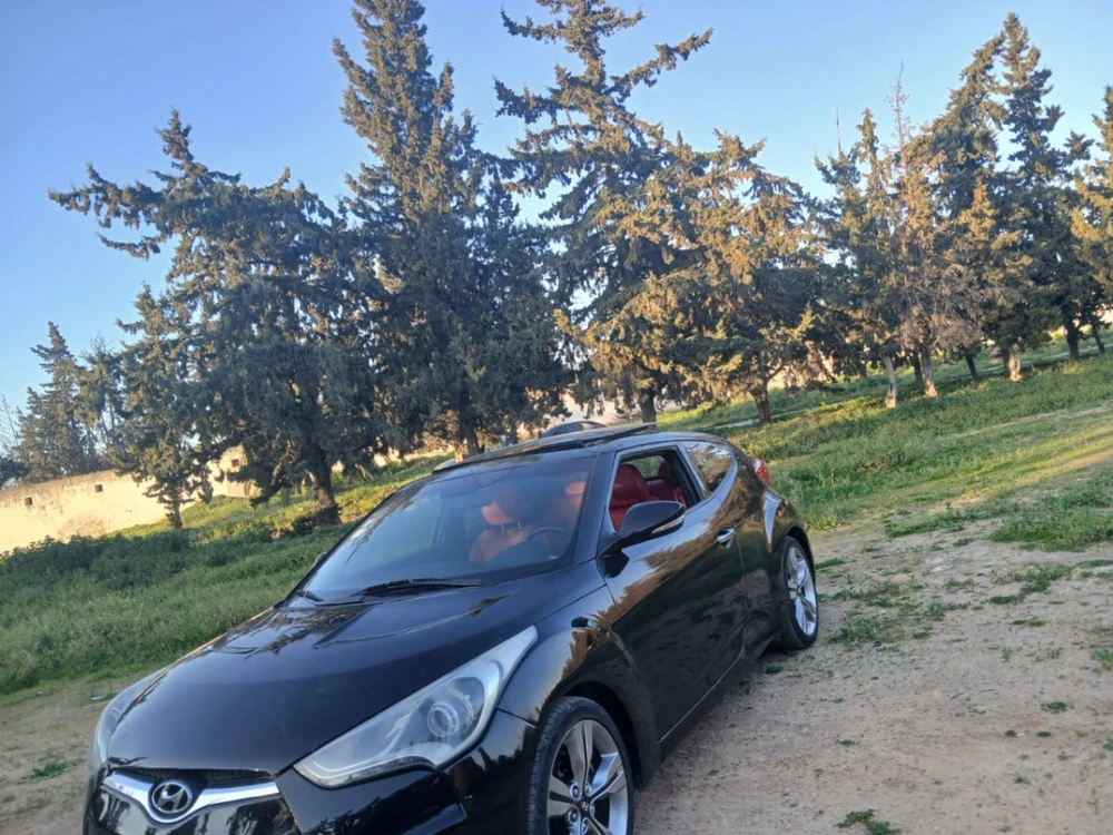 Carte voiture Hyundai Veloster