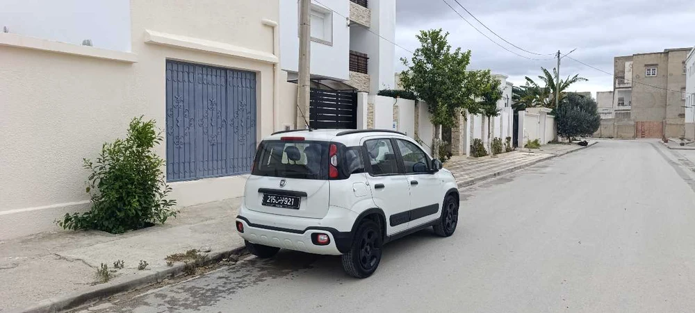 Carte voiture Fiat Panda